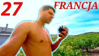 Lyon i winobranie czyli najcięższa praca na wakacje! - Francja - W pogoni za Rio