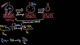 Respiration - Alveolar Ventilation Equation