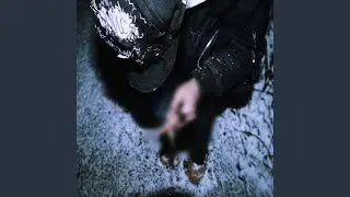 Sx