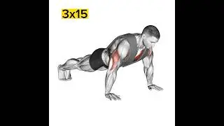 push up exercise 3d Animation