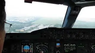 A380 Birdstrike at Minimums on approach into Singapore Changi Airport