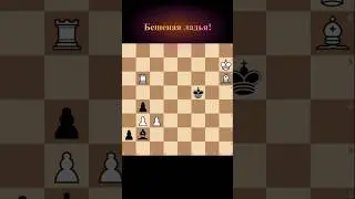 Бешеная ладья! #шахматы #chess #chessendgame #этюд