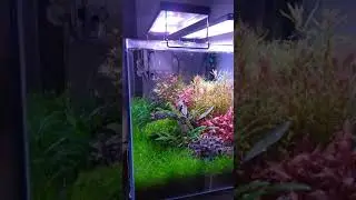SMD Led Armat&uuml;r