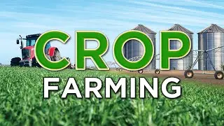 Crop/Grain Farming
