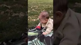 Dog wants to play fetch with baby #dog #baby #animals #youtube #youtubeshorts #shorts