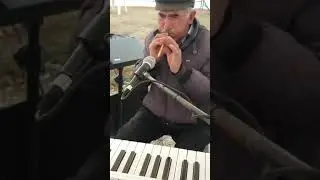 SİPSİ Y&Ouml;RESEL SESLER