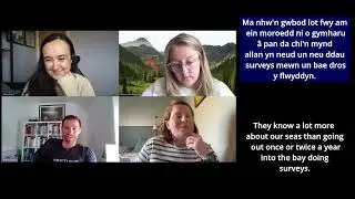 Project SIARC EDI Review and Action plan /