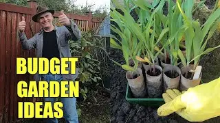 How we use toilet roll tubes in the garden - garden renovation on a budget
