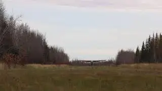 Boone and Crocket Moose