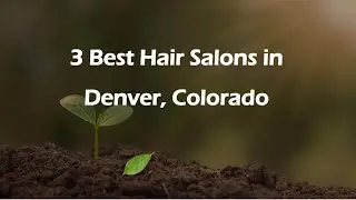 3 Best Hair Salons in Denver, Colorado | Hair Studios