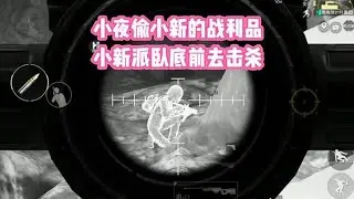 小夜偷小新的变卖物，小新派卧底前去击杀 #和平精英 #只玩喷子的小新