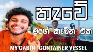 නැවේ මගෙ කැබින් එක | Engine Cadet's Cabin Onboard #containervessel #ship #cabin #marineengineer