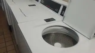 Day 29 of 365. Bed for sale and other items available from the laundry room.