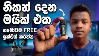 සල්ලි දීල මයික් ගත්ත කාලෙ ඉවරයි! 🛑 හැමෝටම Studio Quality Mic එකක් නොමිලේ - Adobe Podcast AI