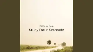 Binaural Rain Study Bliss