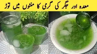 Mint Podina Sharbat Recipe | Summer Special Refreshing Drink  Recipe | Nimbu Podina Sharbat