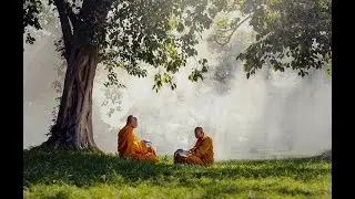 Inner Peace Reflection in the Wilderness