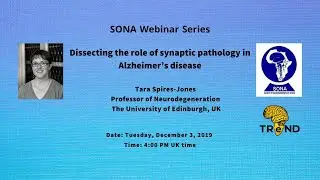 Dissecting the role of synaptic pathology in Alzheimer&rsquo;s disease│ Prof. Tara Spires-Jones