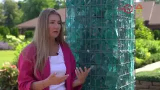 Своя 