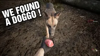 MIST SURVIVAL 0.5.1 Episode 1 | We Saved A Doggo From The Bandits !
