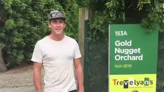 2018 Bay of Plenty BFEA Award Winner: David Timms (Manager), Gold Nugget Orchard, Te Puke, NZ