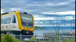 Die gelben Züge in Sipplingen