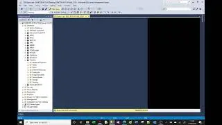 MS SQL tutorial video on creating stored procedures