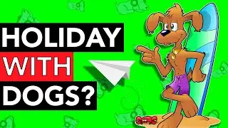 Can You Take Dogs On Holiday With You?