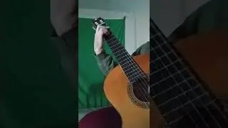 Tool - Ticks And Leeches (interlude + nylon string guitar)