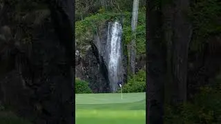 Island Time Golf Moment - Olympic View Golf Club | #shorts