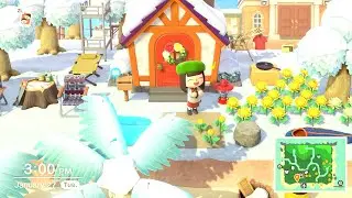 ACNH day 27! Playing Happy Home Paradise and having WAY too much FUN!!!