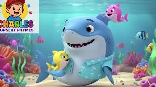 Ocean Animals Lullaby Gentle Preschool Song Charles Nursery Rhymes