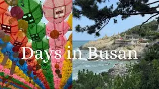 Busan Vlog | humid days, cafe hopping, and temple visits 