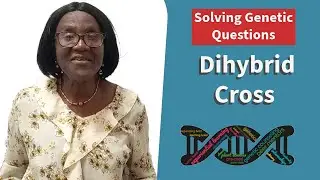 Solving Genetic Questions| Dihybrid Cross, Differences of Expected Numbers(For As/ A'Level Students)