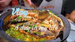 VLOG a day in my life |南洋理工大学(NTU)徒步 奶酪蛋糕 探鱼