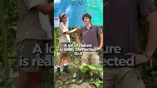 🌿✨ Want to live a unique experience in Guatemala?
