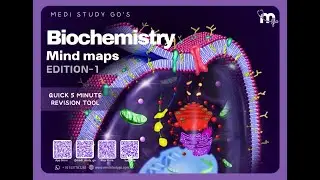 Biochemistry Mind Map Book  | Simplified Learning for Dental , Medical Students & Health Sciences