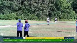 MCC Tigers vs BYCC SYNDICATE | MML T-20 Season 2025(League Matches) | Live - Memphis Hickory Hill Cr