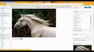 WordPress eStore Plugin Tutorial