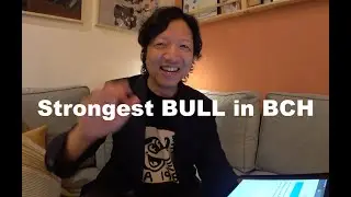Сильнейший BULL в BCH Bitcoin Cash возвращается! Только ограниченное время! Скоро в 10 раз больше!