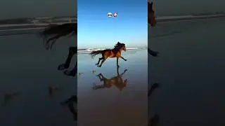 🏇💨🏇🏃#running #runningmotivation #discipline #viral #reels #india #shortvideo #shortvideo #indian