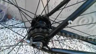 Bicycle freewheel bearings noise
