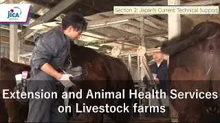 Extension and Animal Health Services on Livestock farms