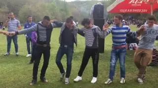 Djemte e Malestrenit