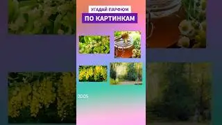 УГАДАЛИ ОЧЕРЕДНОЙ ШЕДЕВР КВЕНТИНА БИША ПО КАРТИНКАМ? ПИШИТЕ В КОММЕНТАРИЯХ ✨