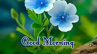 good Morningwishes//good Morning video Status//good Morning.subscribe@smiling thulasi