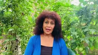 Department of Forestry and Environmental Science:  Orientation 2021