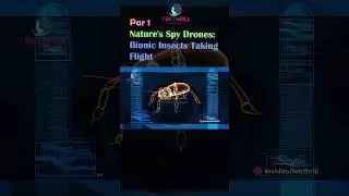 Nature's Spy Drones: Bionic Insects Taking Flight! Bionic Insects: Spy Drones Inspired by Nature! P1
