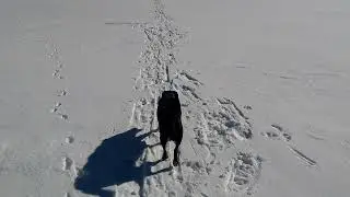 BK Echo Lake XC    1/10/2022