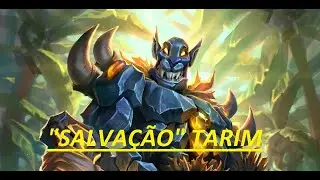 Hearthstone :  Murloc Paladino - 